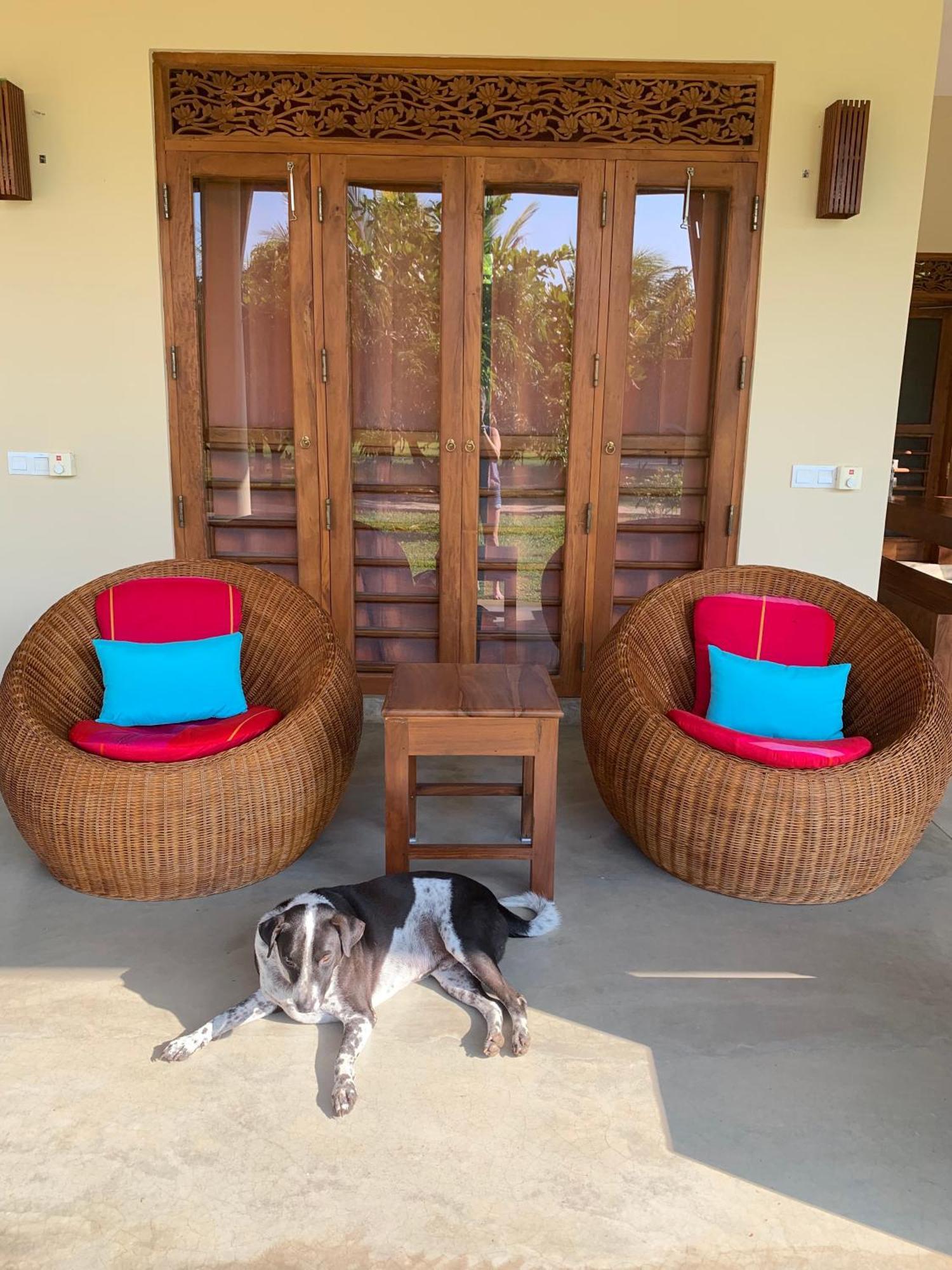 Villa Wild Lotus Yala à Tissamaharama Extérieur photo